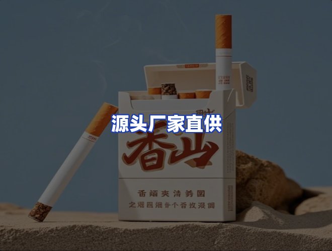 专业团队